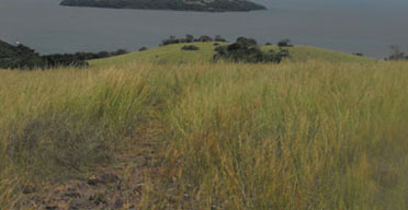 The majestic Ndere island