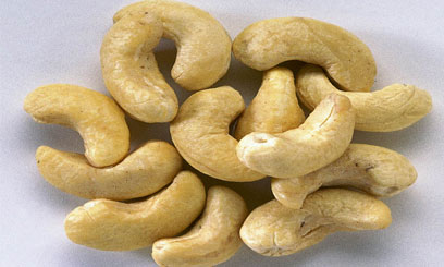 Turkana county taps into groundnut farming