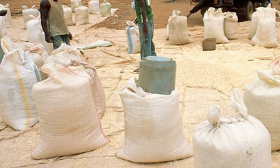 Kenya launches electronic platform to boost food security