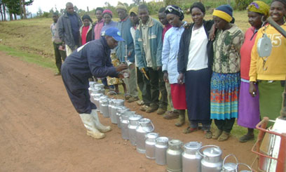 Kiambu dairy firm weathers drought to register Sh1.1 billion profit