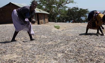 Kenyans shun fish over high prices