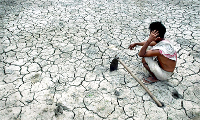 Iraq limits agricultural plan due to drought