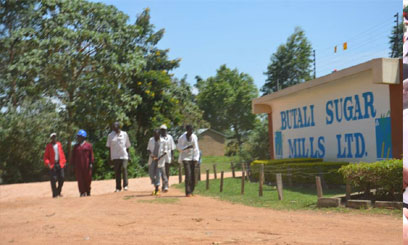 CoA rejects West Kenya Sugar challenge on Butali Sugar registration