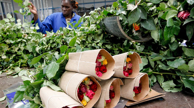 UK rolls out programmes to support horticulture trade in Kenya