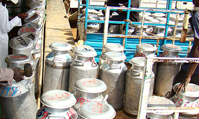Kabianga Dairy Limited goes into administration