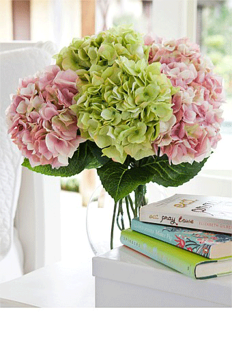 hydrangeas-2