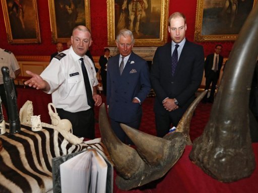 prince william anti poaching