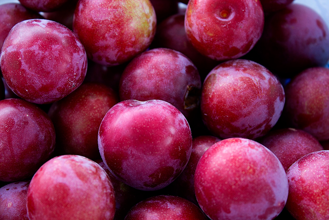 PLUMS