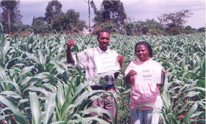 Fertilizer syndicate unearthed in Kitale