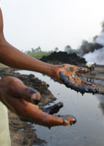 OPEC predicts steep rise in fuel costs