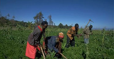 Kenya farmers given green challenge