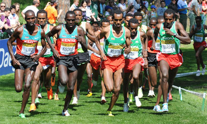 Merga halts the Kenyan march