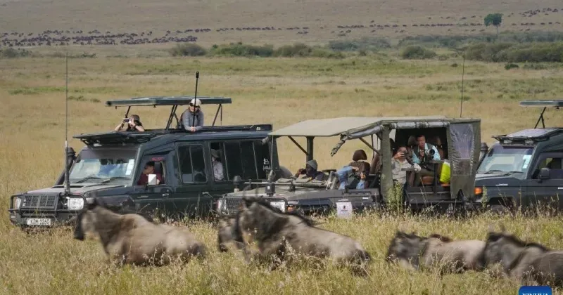 CBK: Tourism sector leads in digitization
