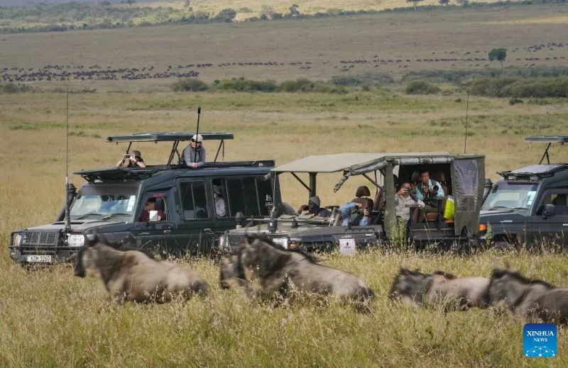 CBK: Tourism sector leads in digitization