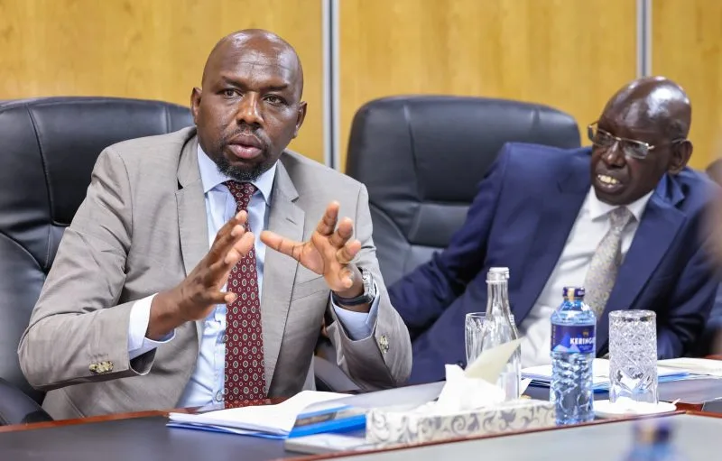 Kenyans to download, print birth certificates online