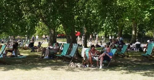 Europe’s heatwave linked to 1,300 deaths, WHO says, as Germany hits record 41.7C