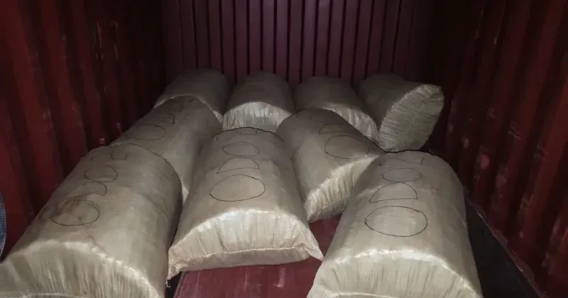 Police Seize Sh12.1 million bhang consignment in multi-county crackdown