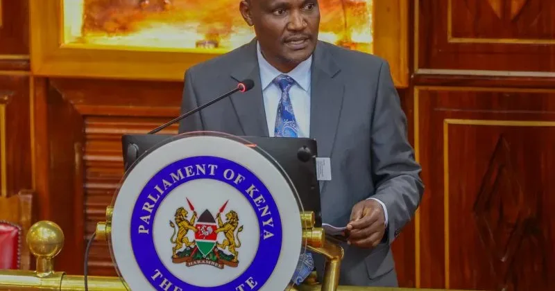 Mbadi Promises Senate Full Details on Nairobi National Park Land Hiving-Off