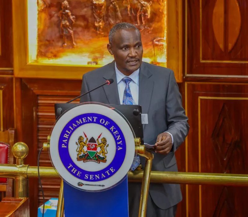 Mbadi Promises Senate Full Details on Nairobi National Park Land Hiving-Off