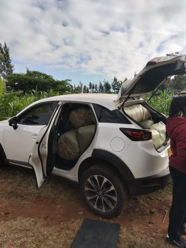 Police Foil Sh4.6 Million Cannabis Smuggling Attempt in Nakuru