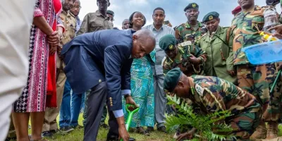 Kindiki says tailored seedlings to power 15 billion tree campaign