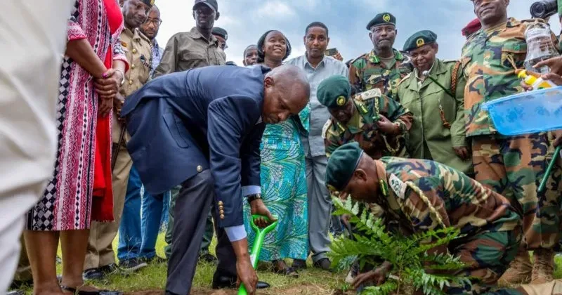 Kindiki says tailored seedlings to power 15 billion tree campaign