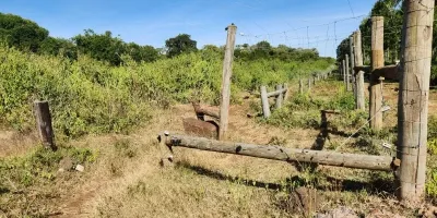 Court stops golf course and airstrip  project in Meru Forest