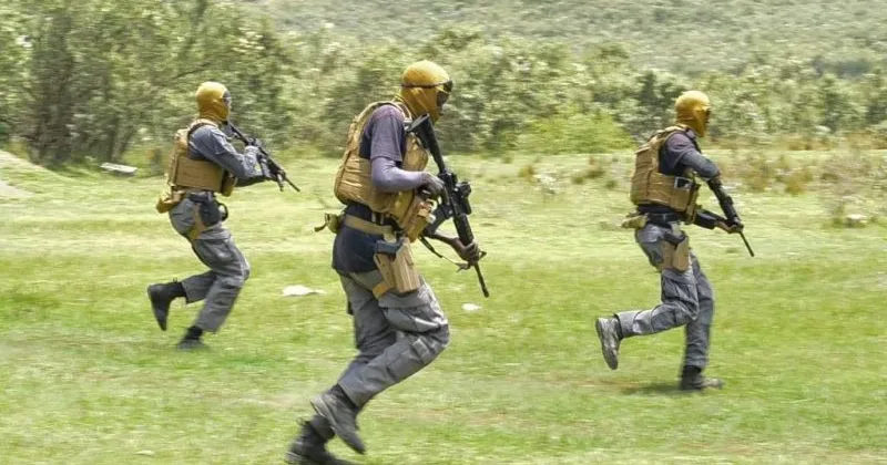 MPs Back Digital Tracking System for Police Firearms to Curb Theft and Misuse