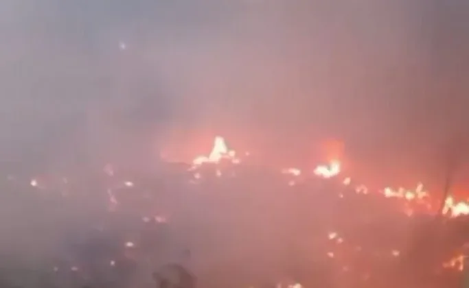 Market Fires Highlight Need for Business Insurance, SMEs Told