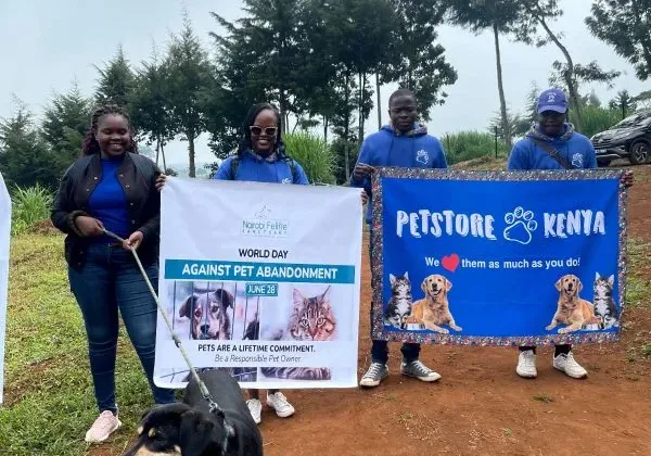 Kenya Turns to Communities as Stray Pet Numbers Strain Shelters and Rescue Systems