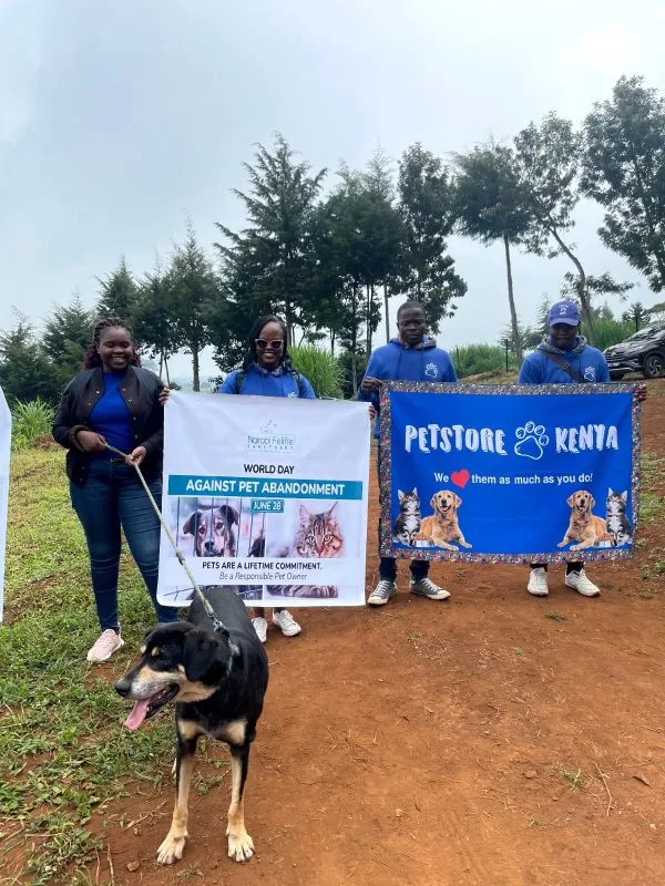 Kenya Turns to Communities as Stray Pet Numbers Strain Shelters and Rescue Systems