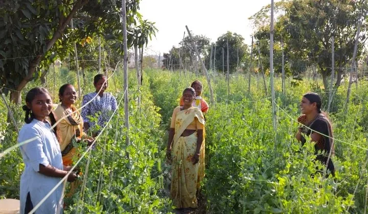 Empowering Women Farmers: How JICA is Supporting Rural Development in India