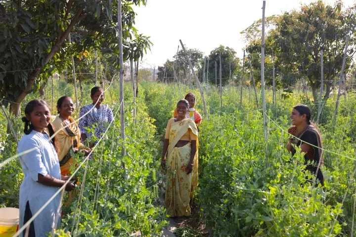 Empowering Women Farmers: How JICA is Supporting Rural Development in India