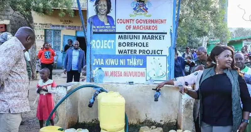Governors, MCAs face arrests over branded taxpayer-funded projects
