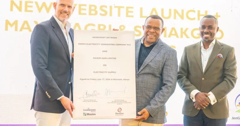 Fish feed firms to invest Sh510mn at KenGen’s Olkaria park