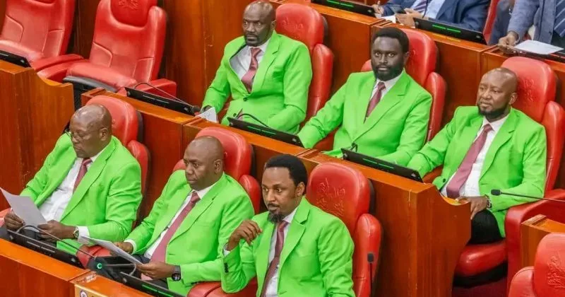 6 Senators don DCP’s signature green as party rides Ol Kalou momentum