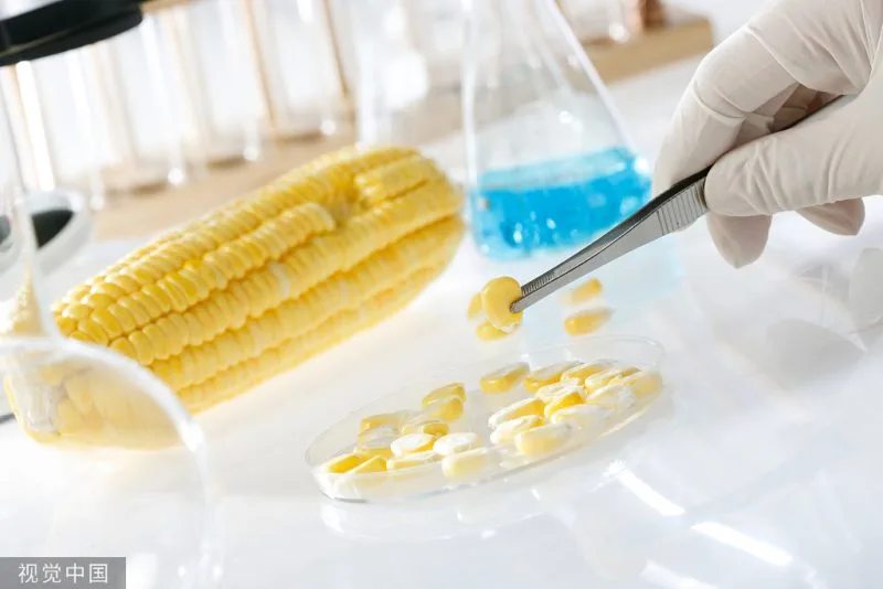 NBA tightens GMO import rules, requires mandatory clearance