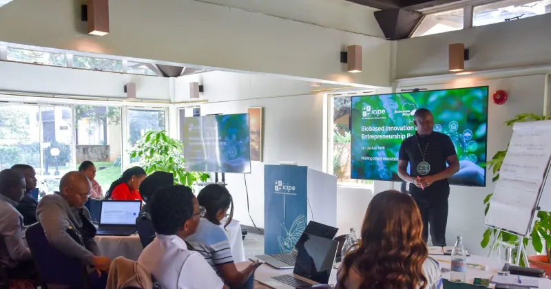 East African scientists pitch home-grown livestock innovations to cut feed costs, curb diseases