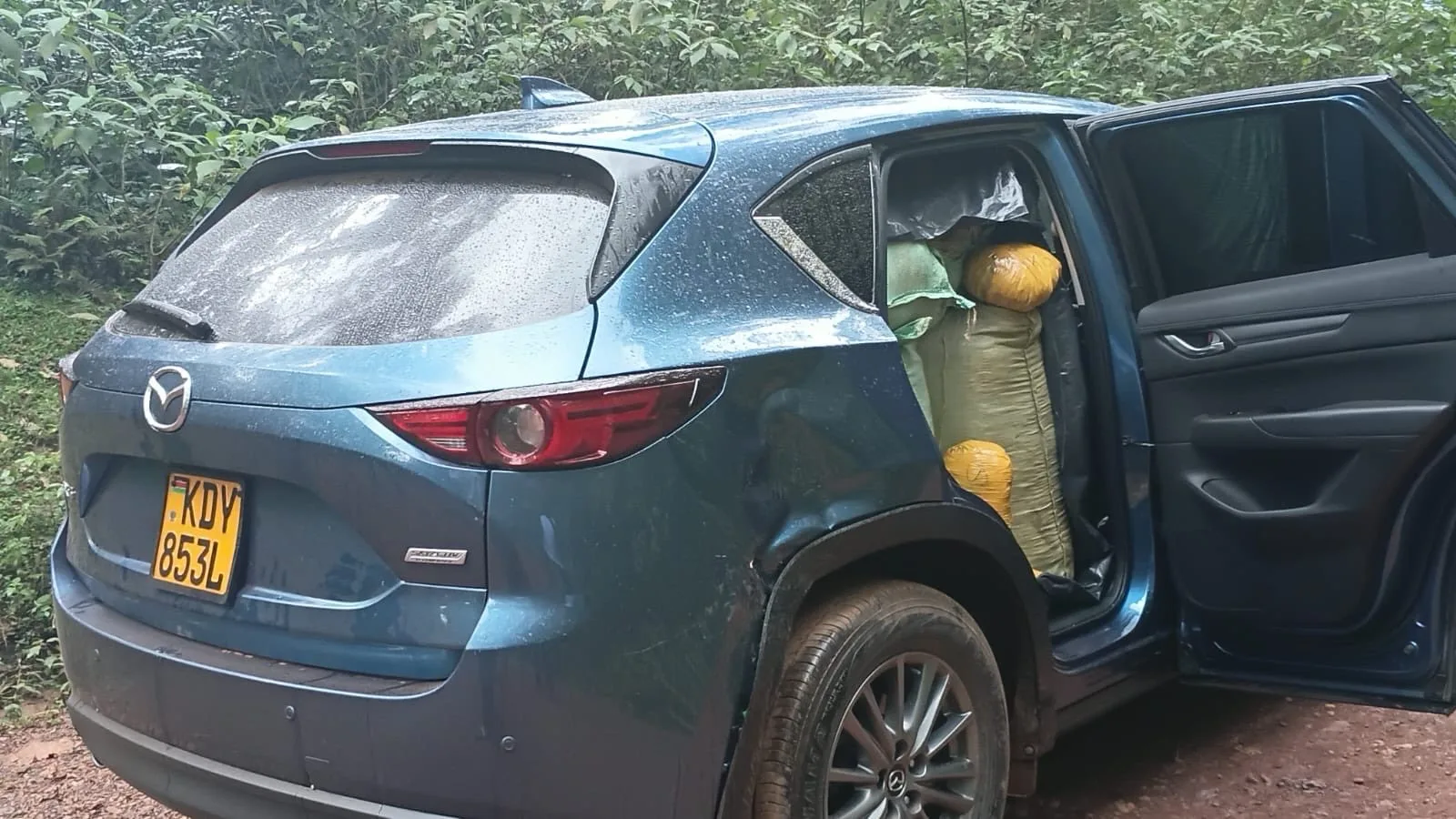 Sh13.4m cannabis haul tops fresh anti-drug crackdown across 3 counties