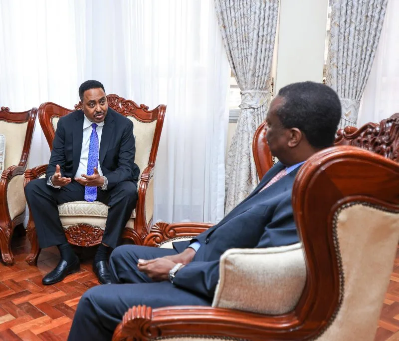 Kenya reaffirms backing for African-led peace efforts to end Horn of Africa conflicts