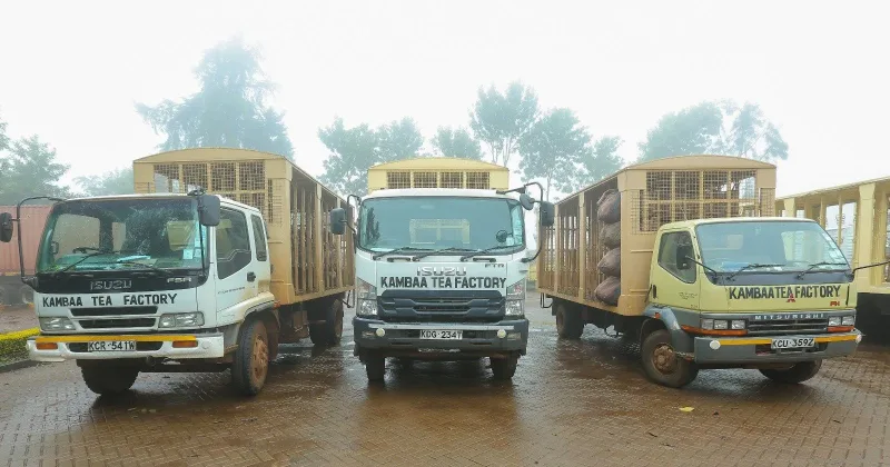 KTDA sets fertilizer transport charges for tea factories