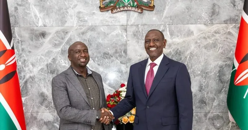 Ruto appoints defeated UDA candidate Muchina Nyagah to Nairobi Rivers Commission days after Ol Kalou by-election loss