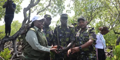Kenya Eyes Larger-Scale Mangrove Restoration Through Partnerships