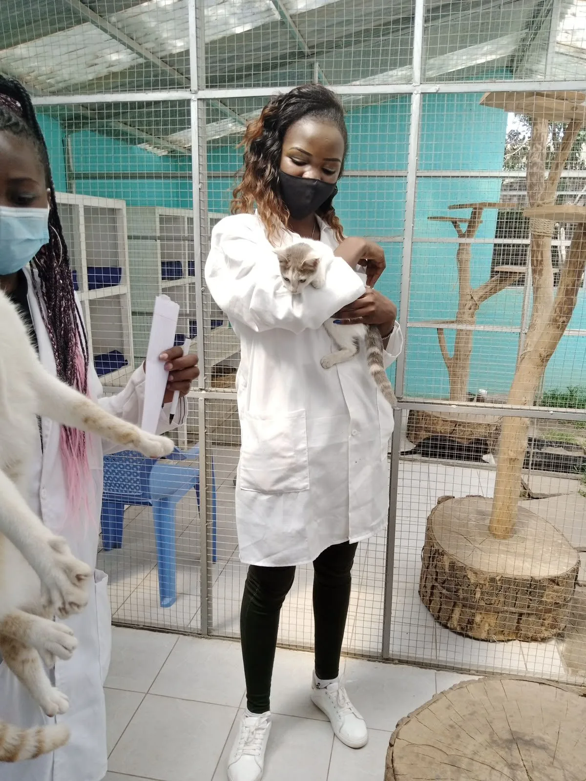 Why Preventive Pet Care Is Becoming a Bigger Focus for Kenyan Households