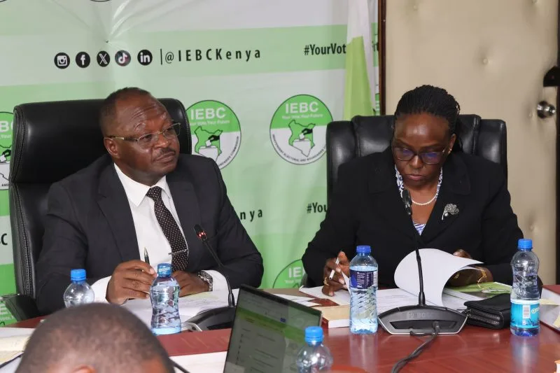 IEBC Fines Kipipiri MP Wanjiku Muhia Sh1.5mn Over Hate Speech in Ol Kalou Campaigns