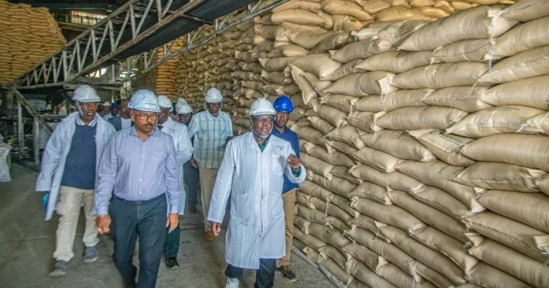 Nzoia Sugar Pays Farmers Sh700mn as Turnaround Gains Momentum