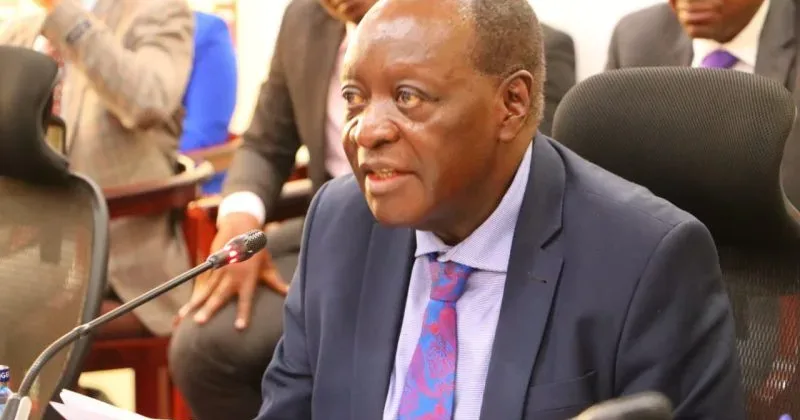 ODM Hands Ottichilo Key Vihiga Role in Fresh Leadership Overhaul