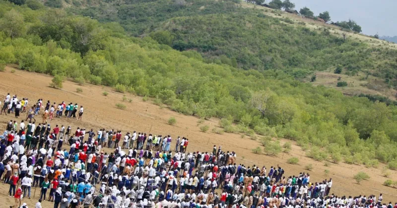 Kenya sets global mangrove planting record