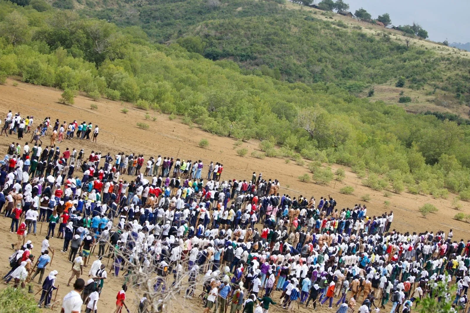 Kenya sets global mangrove planting record
