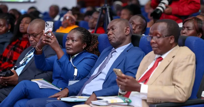 Farmers Urged to Diversify Crops as Climate Change Threatens Maize Production